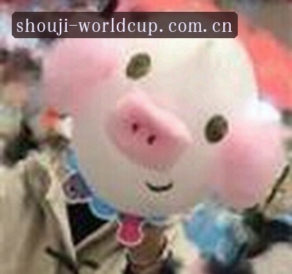 王磊